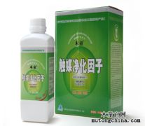 新窗簾如何除異味