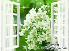 三聚氰胺板家具除甲醛方法（二）