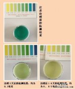 怎樣除甲醛，效果看得見？