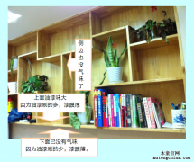 從一個室內污染異味治理的實例說起（1）