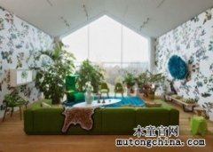 植物“大戰”室內甲醛污染