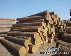 如何識別實木和人造板