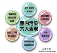 什么東西除甲醛的效果好？