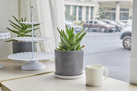 先別問除甲醛的方法，看一個真實案例